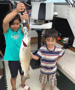 Lake Ontario Brown Trout